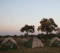 The Camp